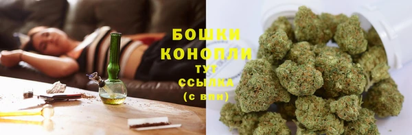 таблы Бородино