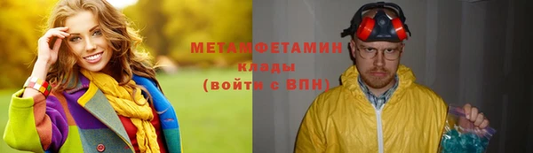 прущие грибы Беломорск