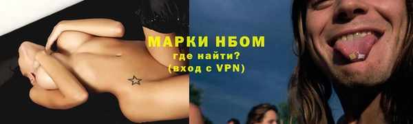 таблы Бородино