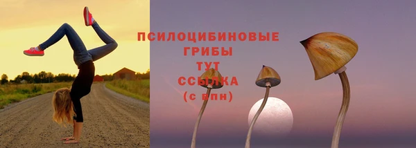 дурь Бугульма