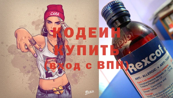 дживик Бронницы