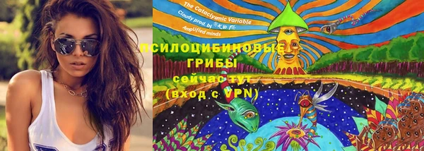 ALPHA-PVP Белокуриха